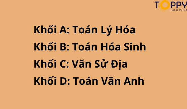 Định hình và tập trung đầu tư theo khối môn học