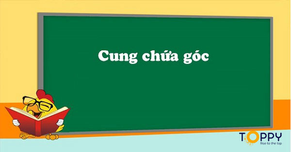 Cung chứa góc là một chuyên đề hình học nổi bật