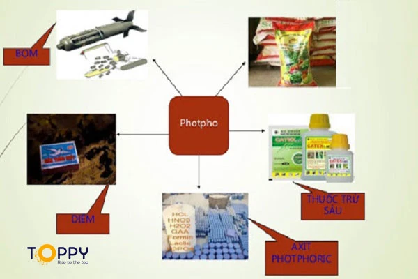 Photpho được ứng dụng đa dạng trong lĩnh vực nông nghiệp, công nghiệp và cả quân sự