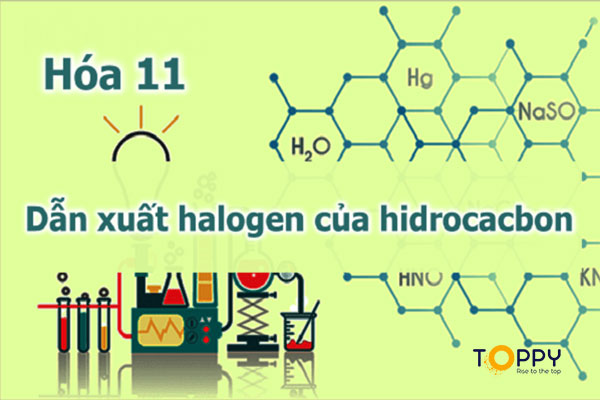 Dẫn xuất halogen trong hóa học là gì?
