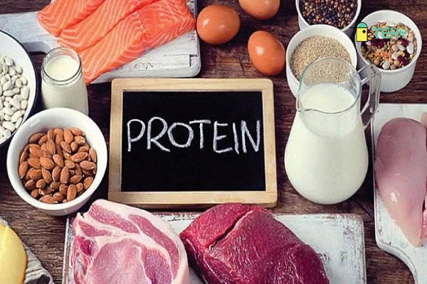 Tính chất đặc biệt của protein