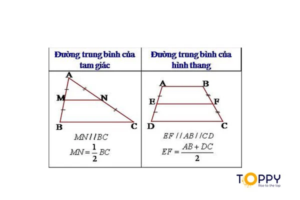 Tổng hợp lại đường trung bình của hình thang và hình tam giác