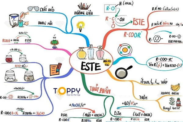 Cách điều chế este