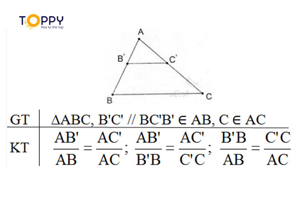 Định lí Ta lét trong tam giác là kiến thức toán học rất quan trọng