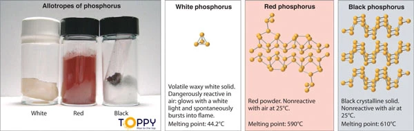 Một số loại chất photpho trong thực tế