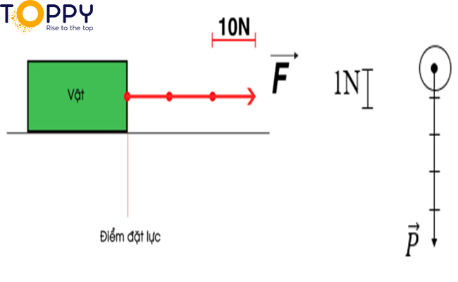 Bài tập về cách biểu diễn lực