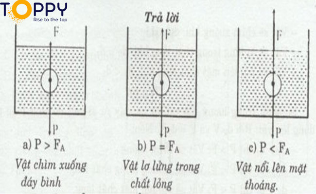 Các thí nghiệm thường áp dụng