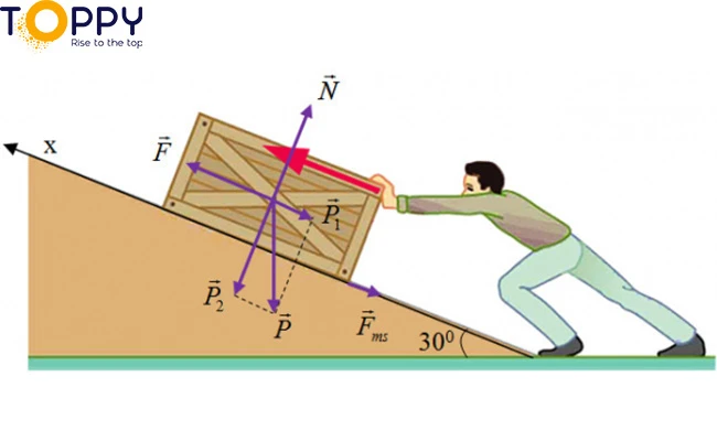 Đặc điểm của công