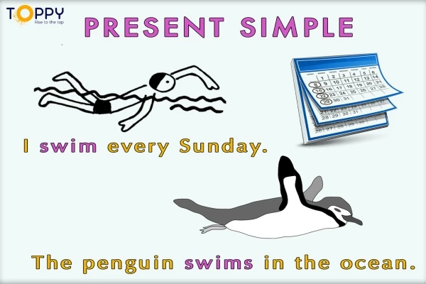 Simple Present tens  (Thì hiện tại đơn)