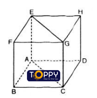 Hai đường thẳng vuông góc toán 11