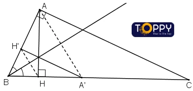 Phép đồng dạng toán 11