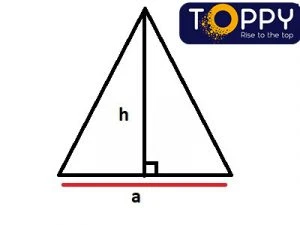 diện tích hình tam giác