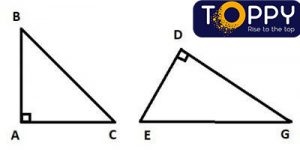 diện tích hình tam giác