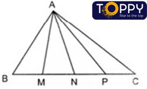 diện tích hình tam giác