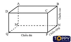 Hình hộp chữ nhật. Hình lập phương