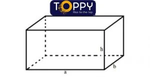 Thể tích hình hộp chữ nhật