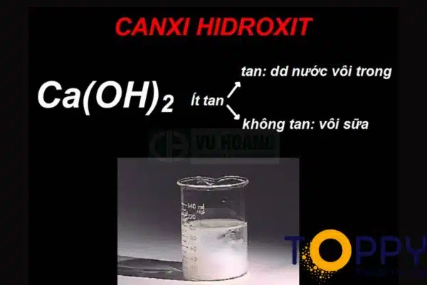 Co2 Caoh2 (1)