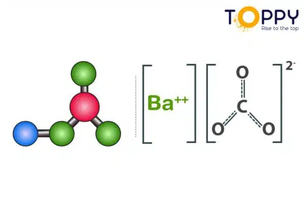 Baco3 (2)