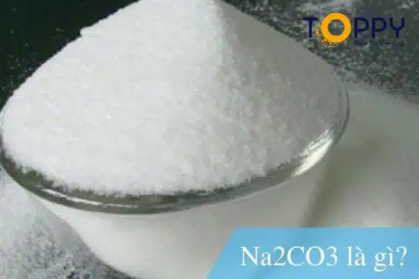 CH3COOH + Na2CO3 | CH3COOH + Na2CO3 → CH3COONa + H2O + CO2