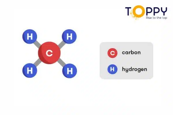 Ch4 O2 (1)