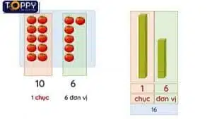 Các số 11, 12, 13, 14, 15, 16 – Giải bài tập sgk chi tiết nhất